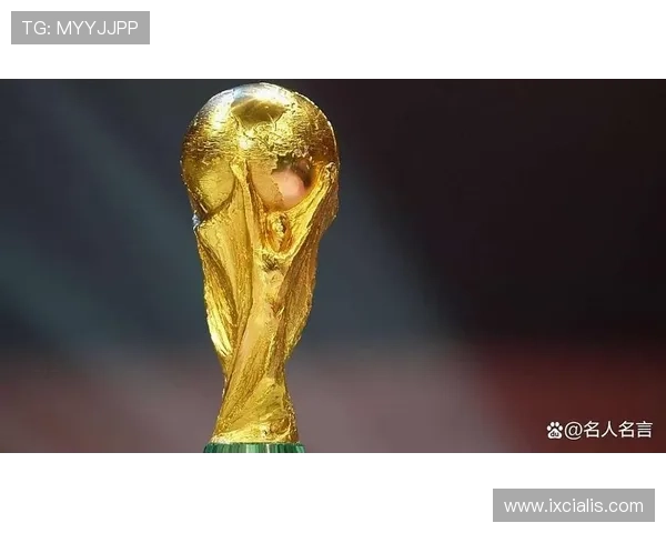 2026年世界杯西班牙与佛得角比赛期间的安全措施与应急指南全攻略
